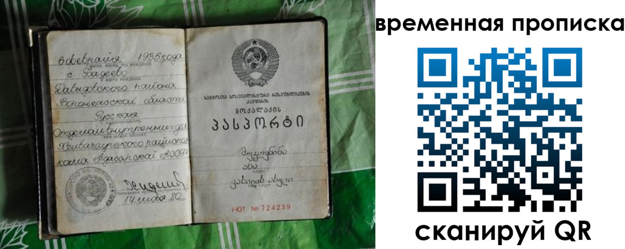 прописка в Павлово